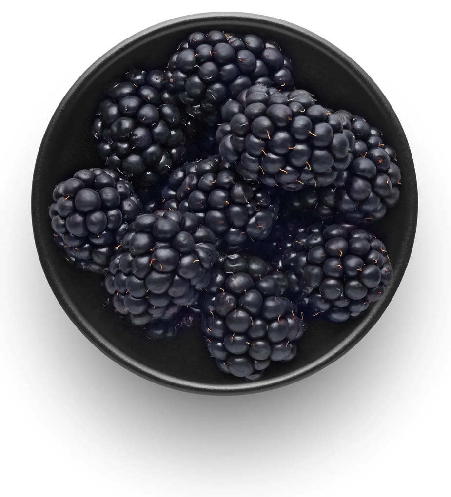 Nordic Kitchen tálka, 0,15l, Ø10cm, 4 db-os készlet, fekete - Eva Solo