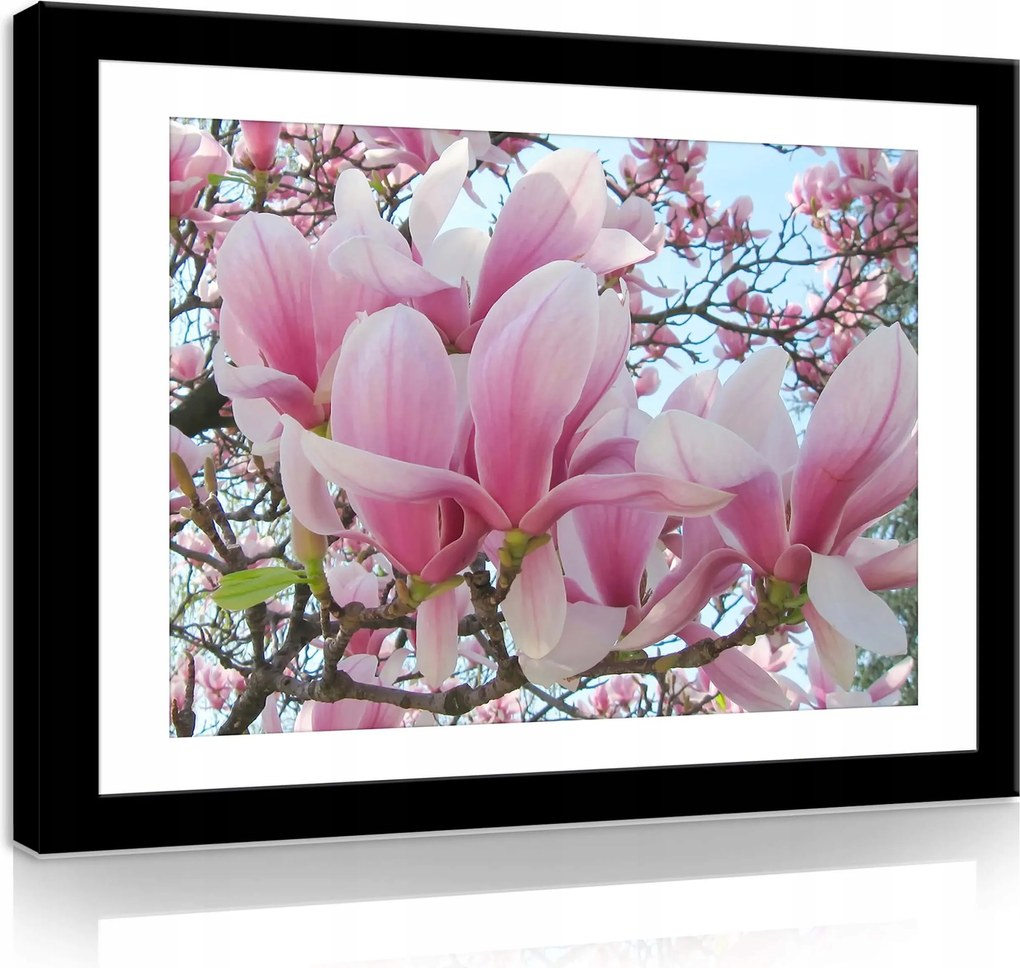 Vászonkép 80x60 Virágzó magnólia rózsaszín virágok tavasz természet nyugalom öröm