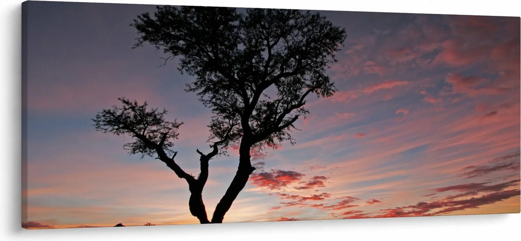 Kép - Fa és vöröses árnyalatok (120x50 cm)