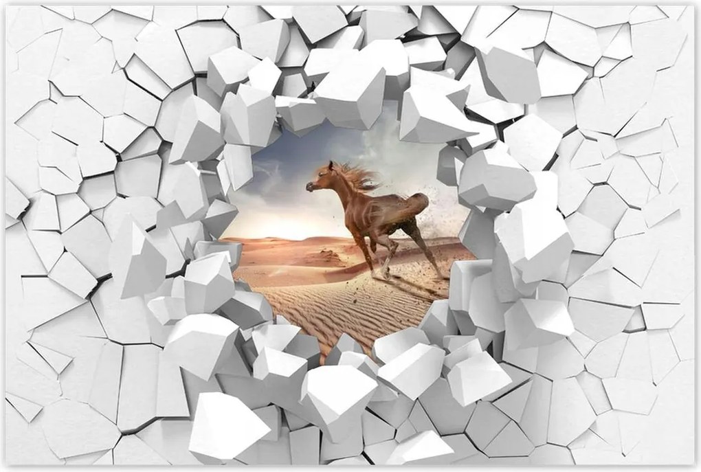 Poszterek 60x40 Galoppozó ló