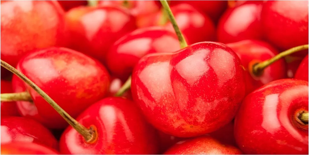 Fotó vászonkép edzett üveg Cseresznye 140x70