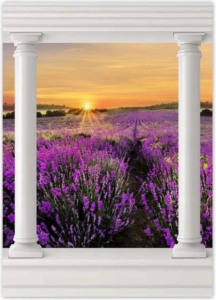 Poszterek 50x70 Levendula naplemente