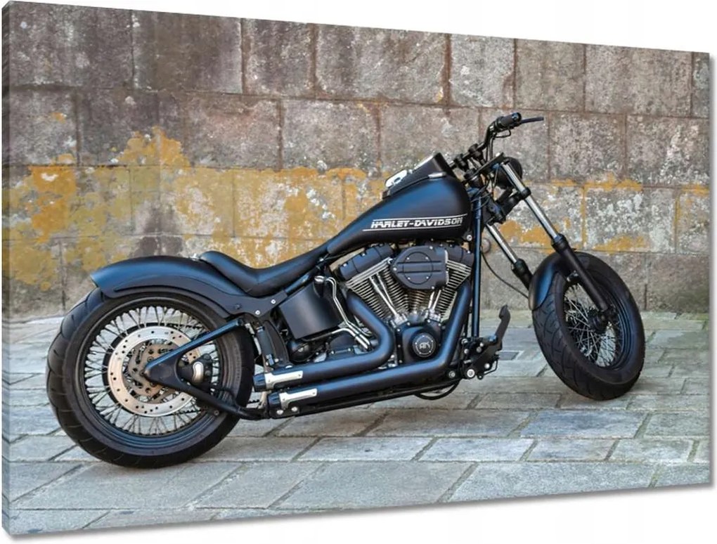 Vászonkép 90x60 Harley Davidson Motorkerékpár