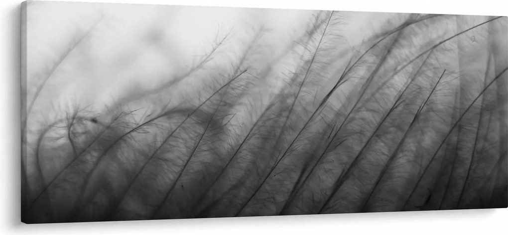 Kép - Fű a szélben (120x50 cm)