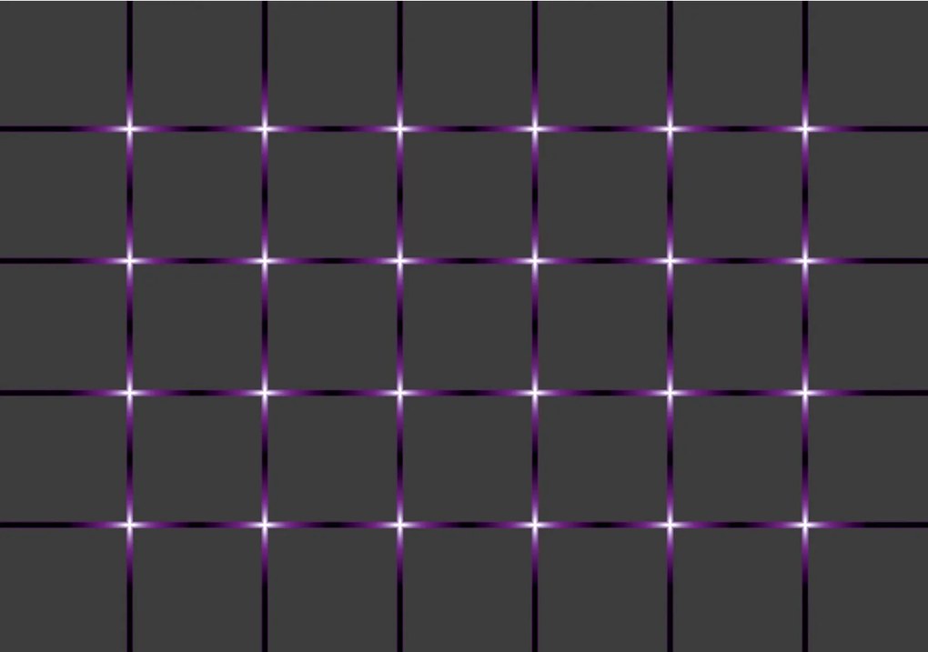 Fotótapéta Lila négyzetháló minimalizmus geometria 254x184 +ragasztó