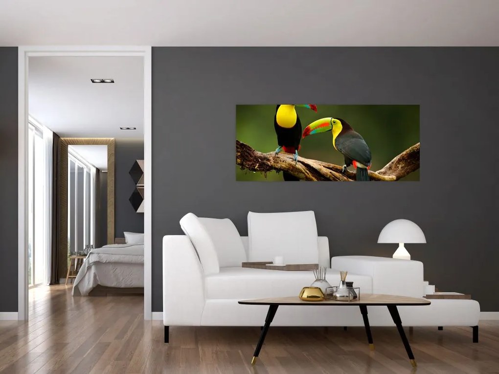 Ülő tukánok képe, Costa Rica (120x50 cm)