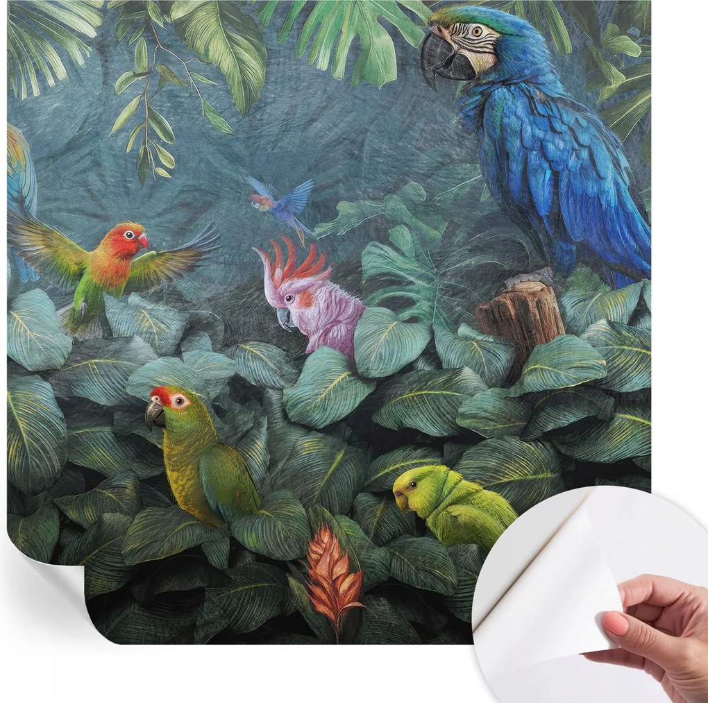 Öntapadós Mosható Fali Fotótapéta Egzotikus dzsungel 250x250 cm