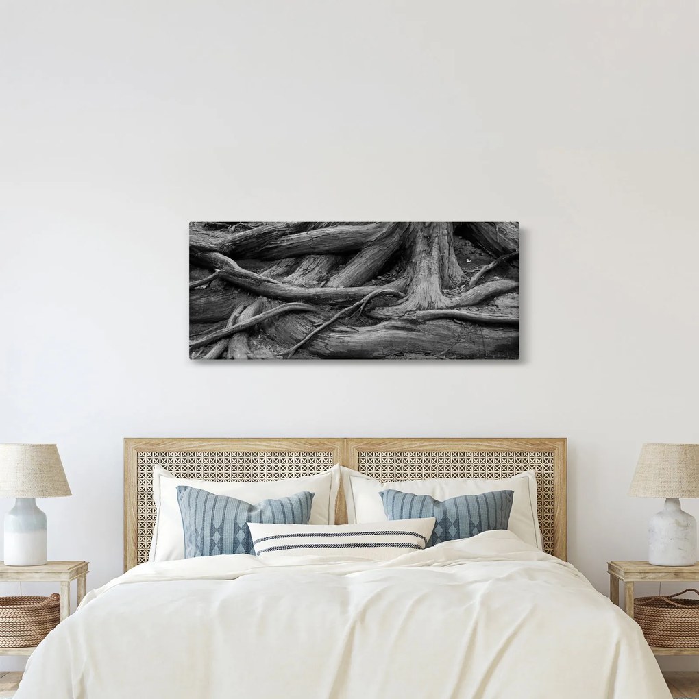 Kép - A fa gyökerei (120x50 cm)