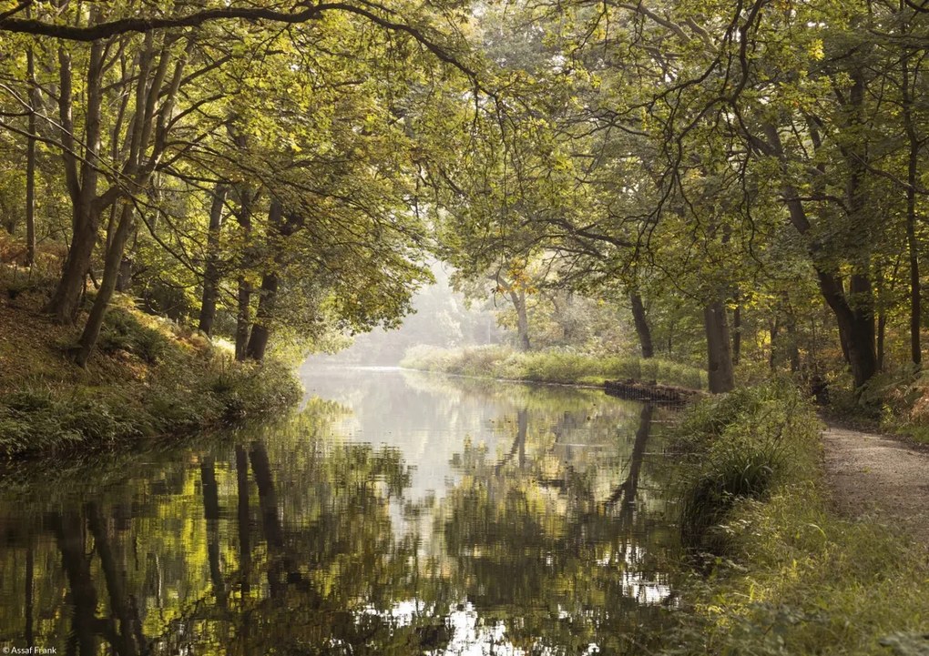 Poszter 29,7x21cm Csatorna Basingstoke 2, Assaf Frank