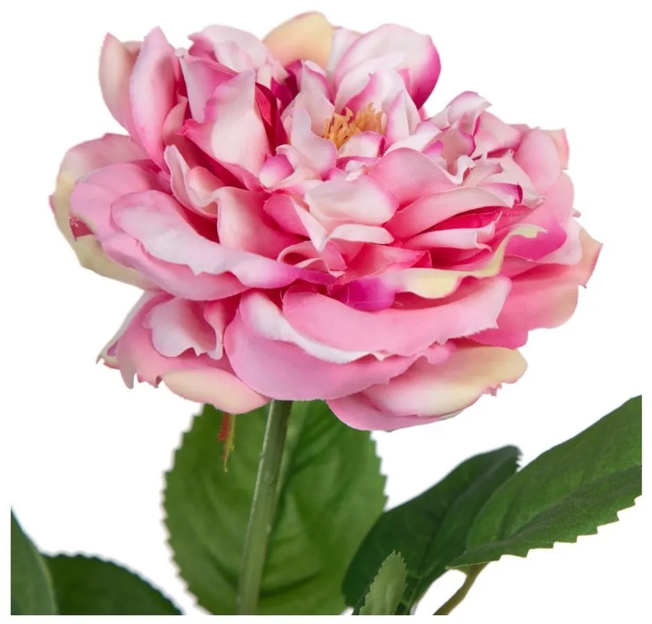 Művirág (magasság 43 cm) Rose – Ixia
