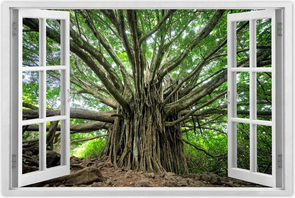 Poszterek 90x60 Fa Kilátás