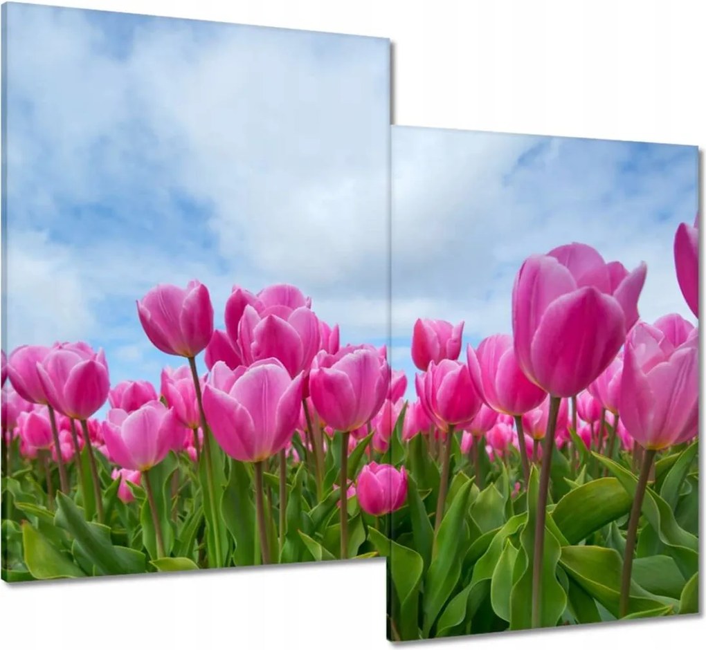 Vászonkép 80x70 Tulipánok Valentin napra