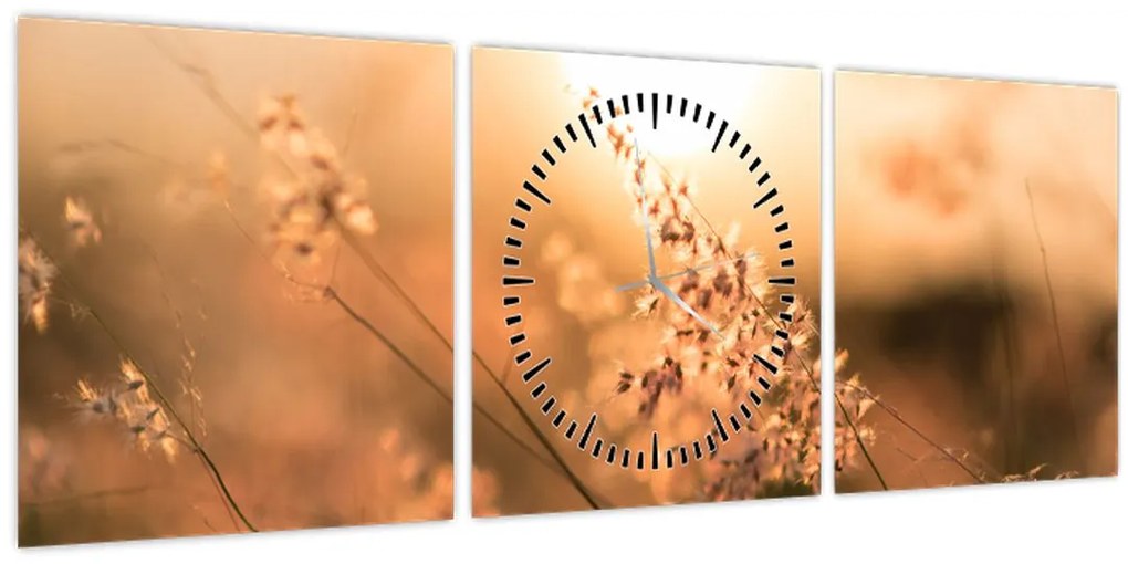 Kép - Fű a napon (órával) (90x30 cm)