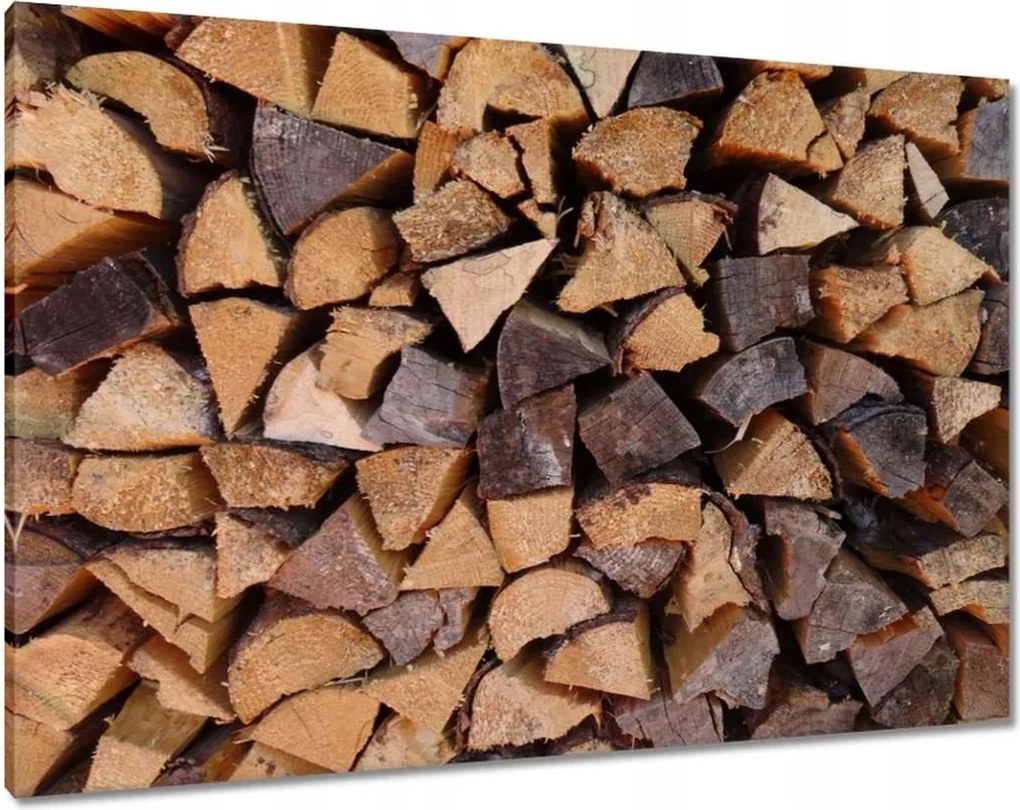 Vászonkép 100x70 Fa a kandallóhoz