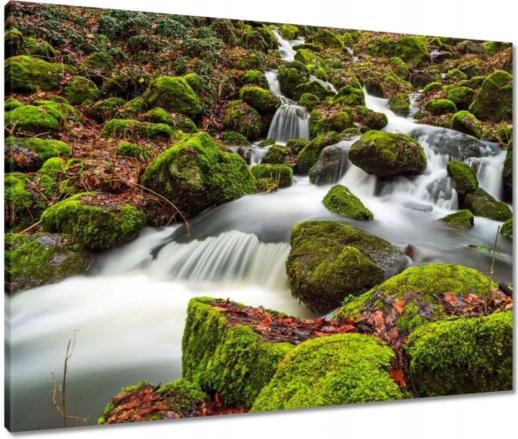 Vászonkép 80x60 Hegyi tájkép patakkal Patak a hegyekben