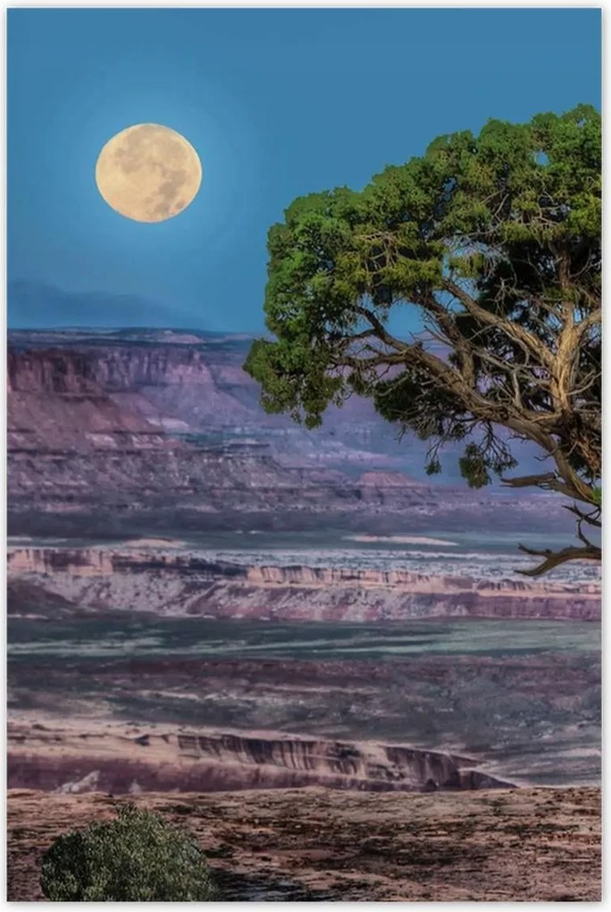 Poszterek 60x90 Kilátás Tájkép