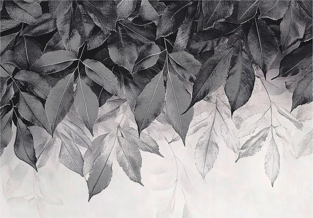 Fotótapéta Levelek Lógó Szürke Hálószoba Nappali Tapéta Flizelina 200x140