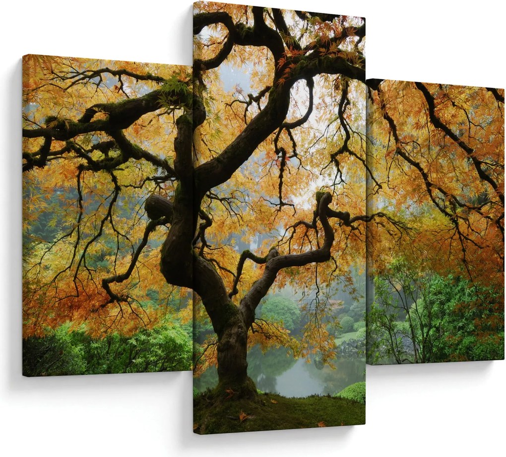 Egy sárga japán juhar képe, Portland, Oregon (90x60 cm)