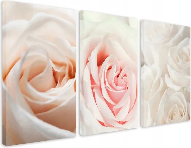 Pasztell vászonképek a nappaliba Finom virágok Rózsaszirmok 90x180