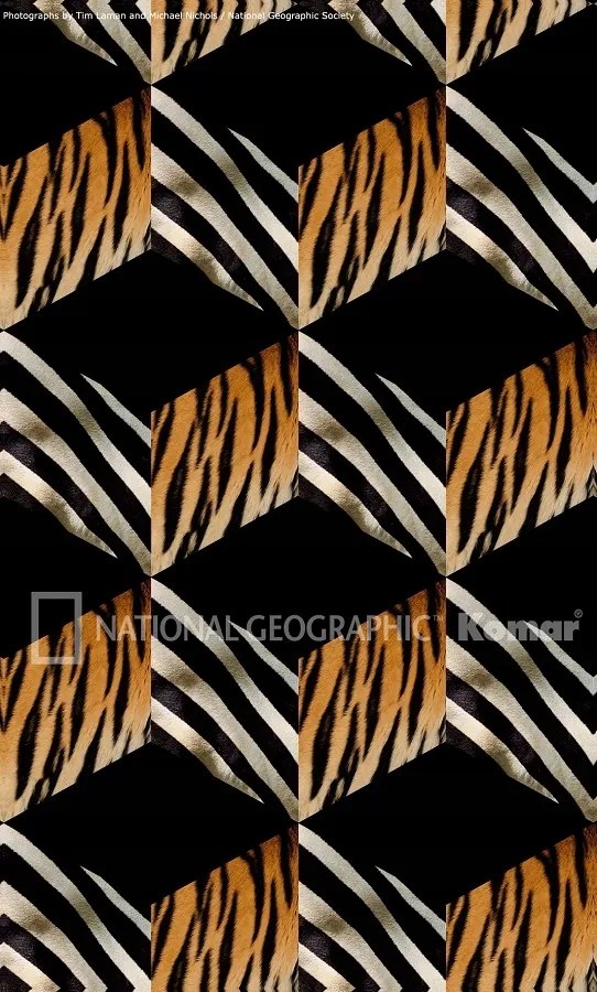 3D fotótapéta geometriai minták Szúnyog 2-509