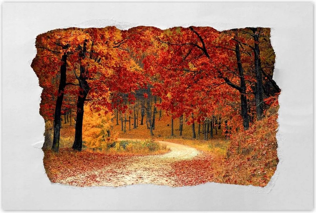 Poszterek 90x60 Tájkép