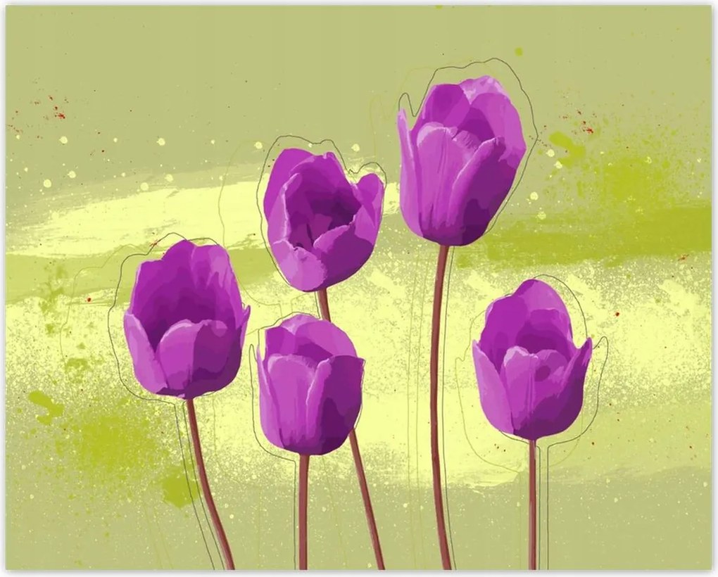 Poszterek 50x40 Pipacsok Modern grafika