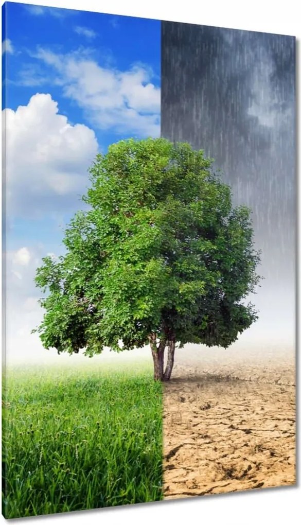 Vászonkép 80x120 Esős évszak