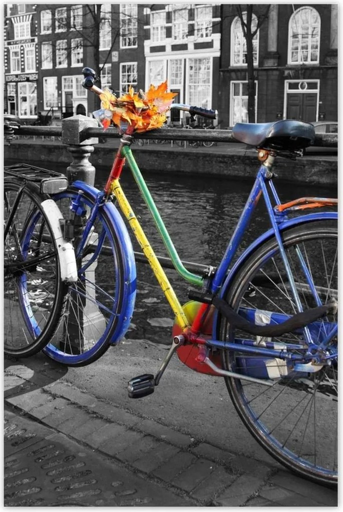 Poszterek 80x120 Őszi levelek