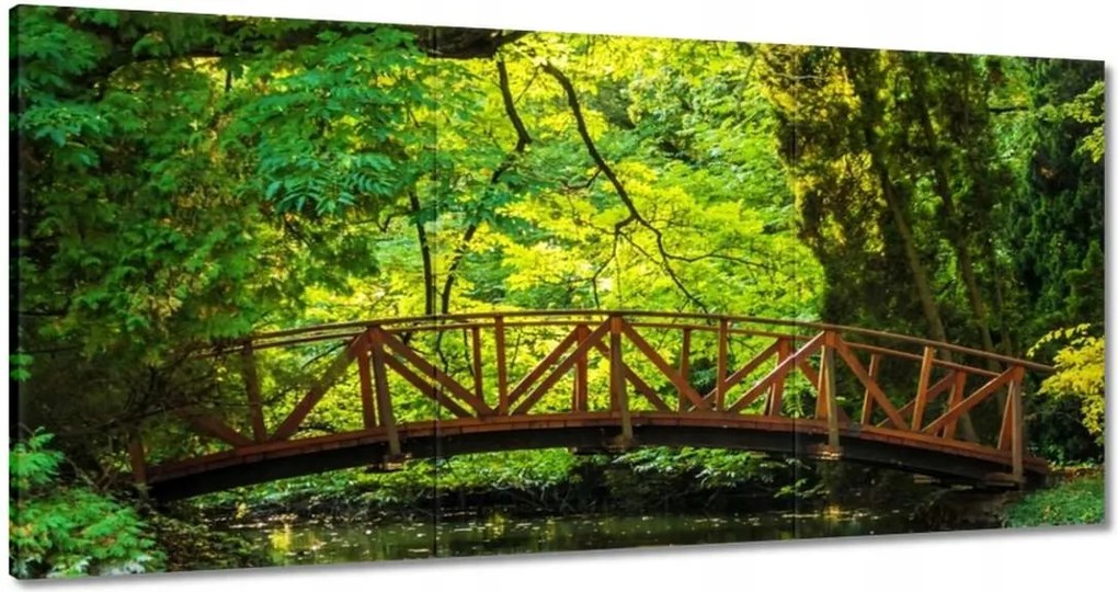 Festmények 120x60 Fa híd