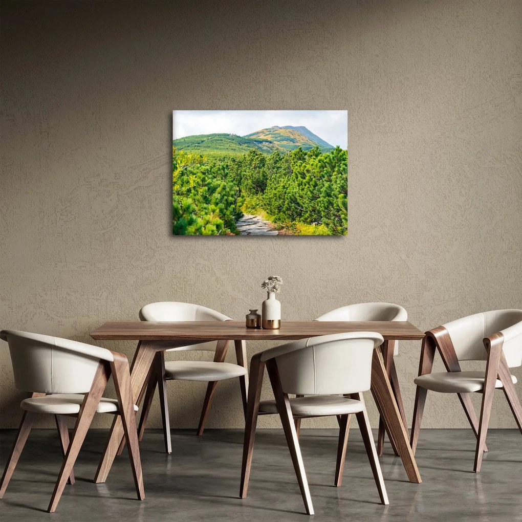 Kép - Babi Hora, Lengyelország (70x50 cm)