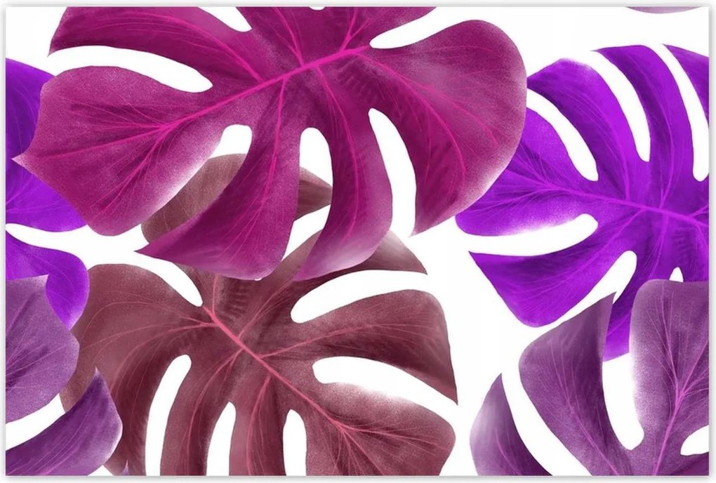 Poszterek 120x80 Monstera Levelek Lila