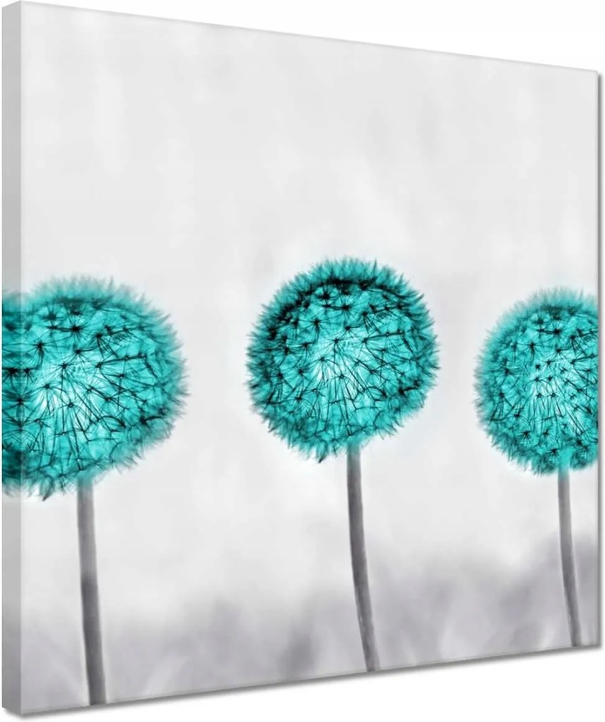 Vászonkép 30x30 Pitypangok