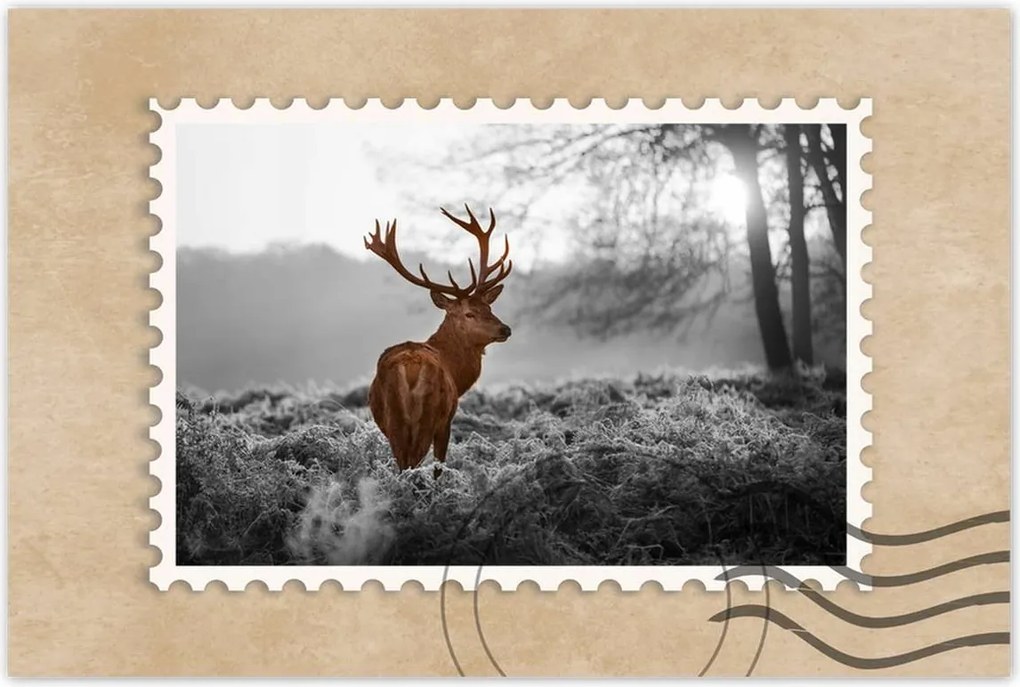 Poszterek 120x80 Méltóságteljes szarvas szarvakkal