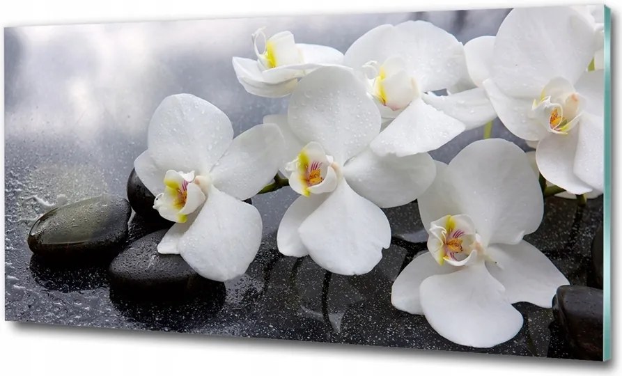 Fotó kép edzett üveg Cseresznyevirág 125x50