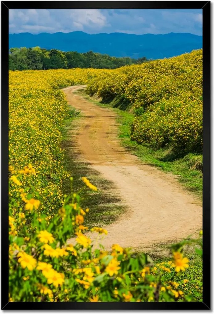 Poszterek keretben 40x60 Falusi tejút