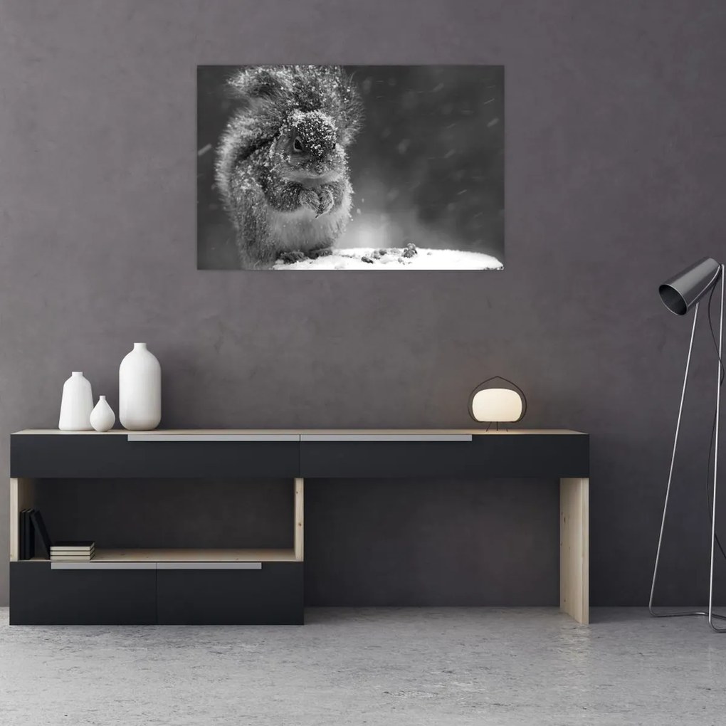 Kép - Mókus télen (90x60 cm)