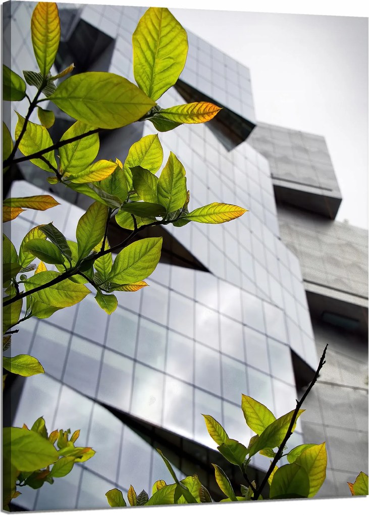 Vászonkép Építészet Modern épület 50x70 cm