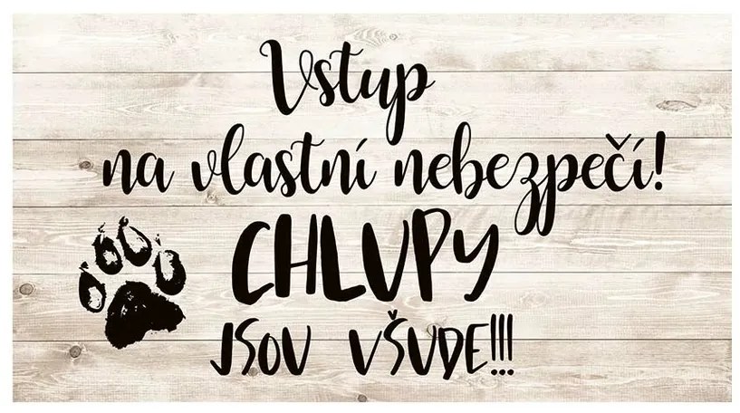 Bohemia Gifts Dekoratív kép - Szőr