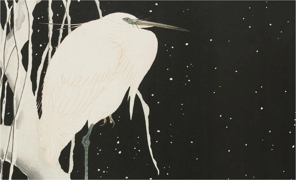 Dekoratív Fotótapéta Hálószobába Téli madár 416x254 Ragasztó