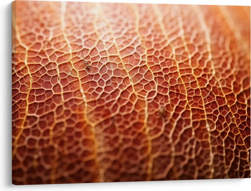 Kép - Textúra részlet (70x50 cm)