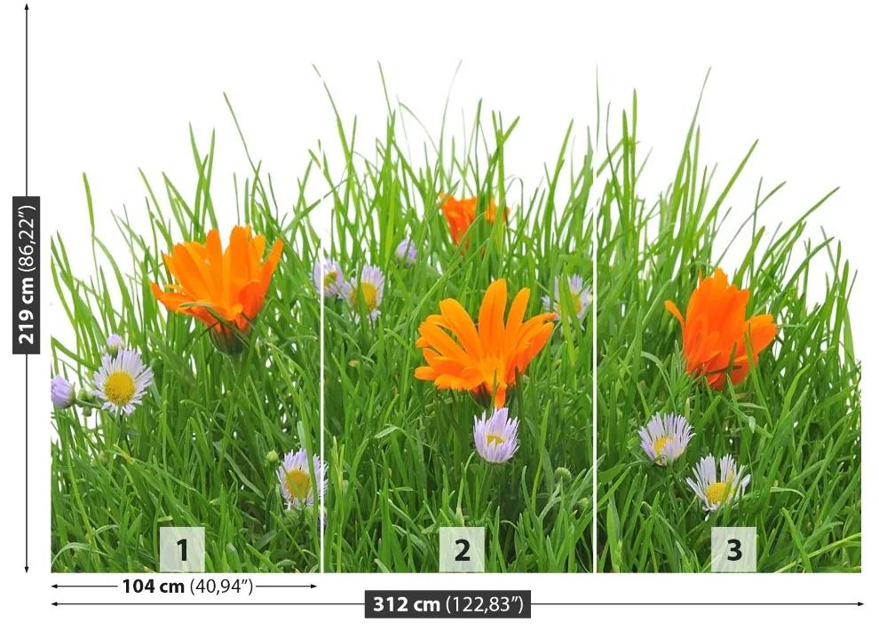 Fotótapéta Easter virágok 104x70 cm