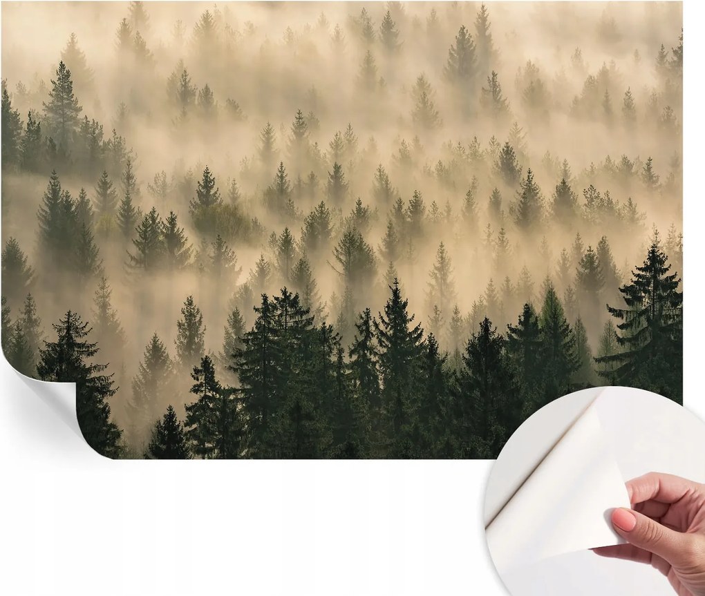 Fotótapéta Dekoratív Fali Tapéta Képekkel Erdei köd 104x70 cm