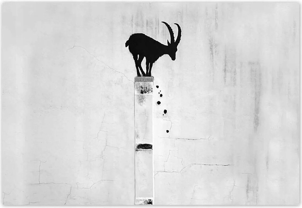 Fotótapéták 152x104 Kozica Banksy Gazella hegyi Nincs magánélet Falfestmény
