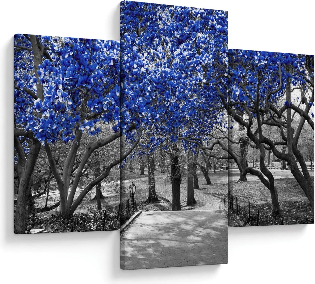 Kép - Kék fák, Central Park, New York (90x60 cm)