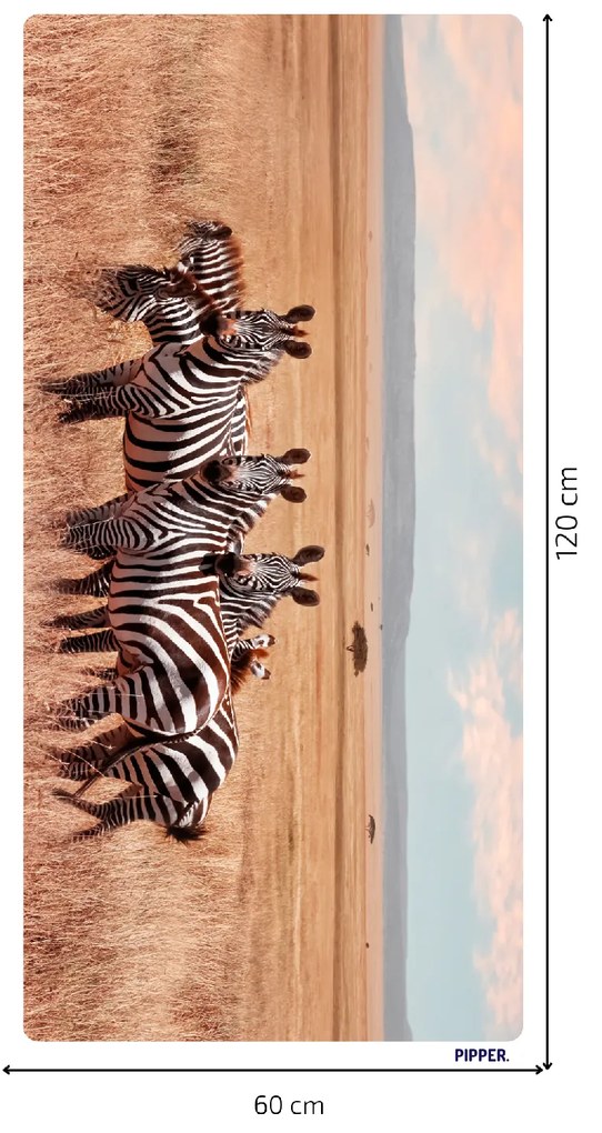 PIPPER. Öntapadós textiltapéta "Zebrák Afrikában"