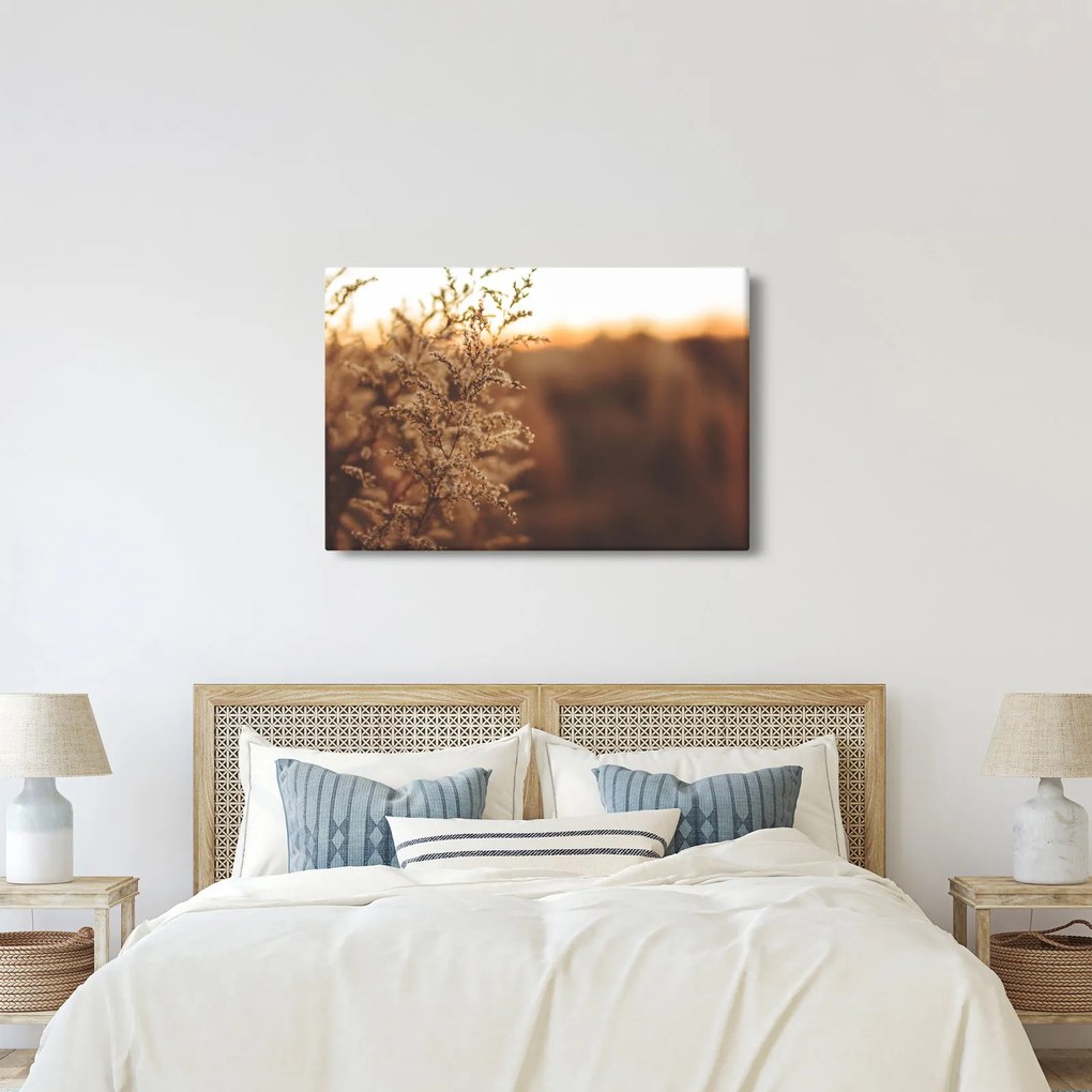 Virágzó fű képe (90x60 cm)