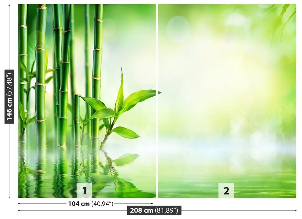 Fotótapéta Bamboo Víz 104x70 cm