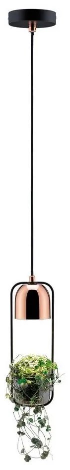 Paulmann 79749 - 1xGU10/20W Csillár zsinóron FANJA 230V