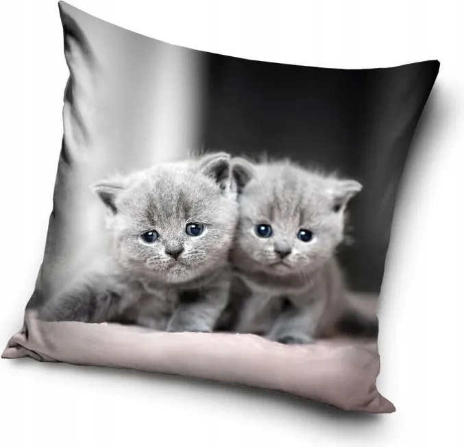 Cicás Twins párnahuzat 40x40 cm Velúr