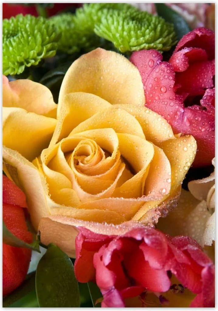 Poszterek 70x100 Tulipáncsokor rózsával